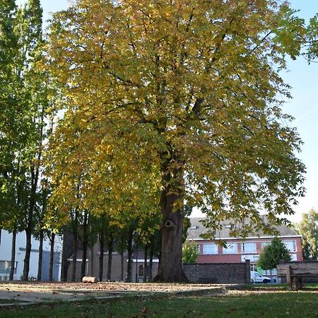 Villa Cacele Raveelzicht Zulte Exterior foto